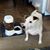Mimi Pritchett Louiso's profile image