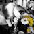 Emberly Miesher's profile image