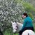 Marion Georgiev's profile image