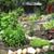 Ellen Mandris's profile image