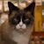 LouAnn Elwell's profile image