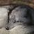 Mary-Anne Wolf's profile image