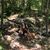 Judy Anne Keys's profile image