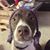 Lynn Blumer Melton's profile image