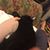 Lucia Rivera's profile image