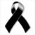 Antonio A Canales's profile image