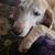 Elizabeth Kelley's profile image