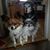 LeeAnn White Bradt's profile image