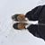 Lisa Lucke's profile image