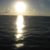 Shannon Redmon's profile image