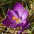 Jennifer Wales's profile image