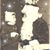 Jan Rost Dickert Schuster's profile image