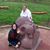 Evelena Putman's profile image
