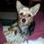 Sue Sharp's profile image