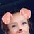 Liz Hall's profile image