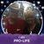 Anita Ann Suchanek's profile image