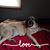 Jenifer Crone's profile image