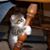 Joe Bates's profile image