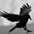 Jacinto Venegas's profile image