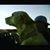 David Bixler's profile image