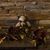 Pam Wilkerson's profile image