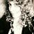 Stacy Jane Walters's profile image