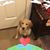 Lori L. Luoma's profile image