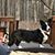 Karen La Verne's profile image