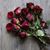 Amal Salhani's profile image