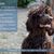 Cathy Pote's profile image