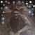 Beth Bernier's profile image
