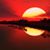 Margo Thomas's profile image