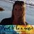 Susan Garcia Nunez's profile image