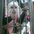 Sandra Peace-Howard's profile image