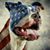 Michael Dunn's profile image