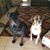 Kaye D Winn's profile image