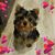 Barb Faith's profile image