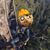 Daniel Correa's profile image