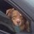 Claudia Richter's profile image