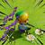 Ashley Webb's profile image