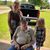 Jyl Staggs's profile image