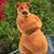 Bill Gordon's profile image