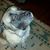 John Colgan's profile image