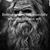 Steve Wilson's profile image