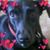Jane Mcdonald-Imbody's profile image
