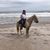 Susan Schettler's profile image