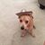 Dee Baker-Milum's profile image
