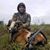 David Morris's profile image