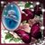 Samantha Schwalbach's profile image