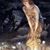 Jennifer Bennett's profile image